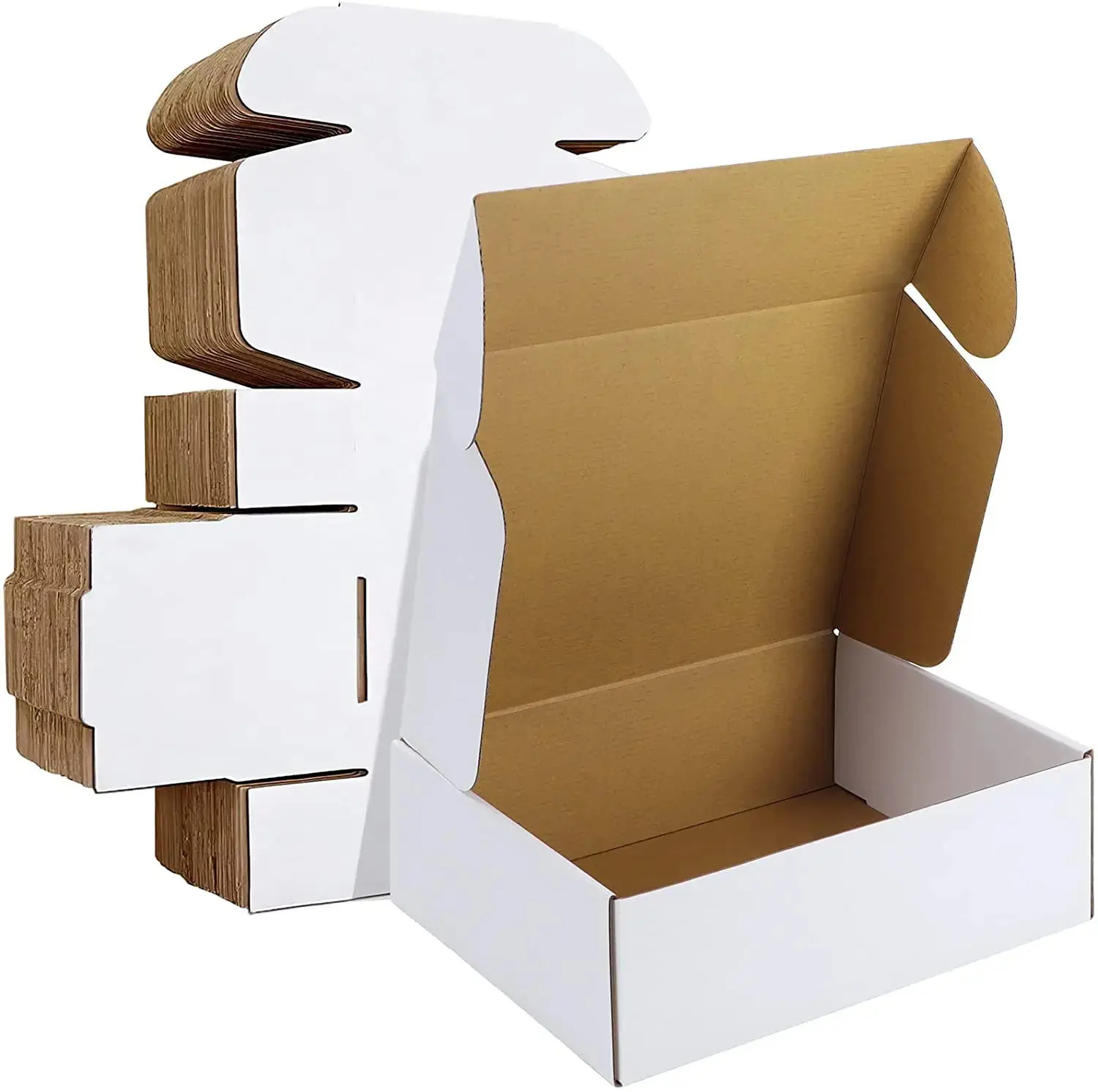 Type B Printed Mailer Box view 2